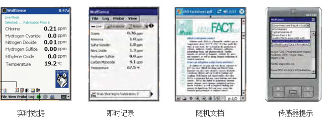 美国格雷沃夫DirectSense TOX有毒有害气体检测仪